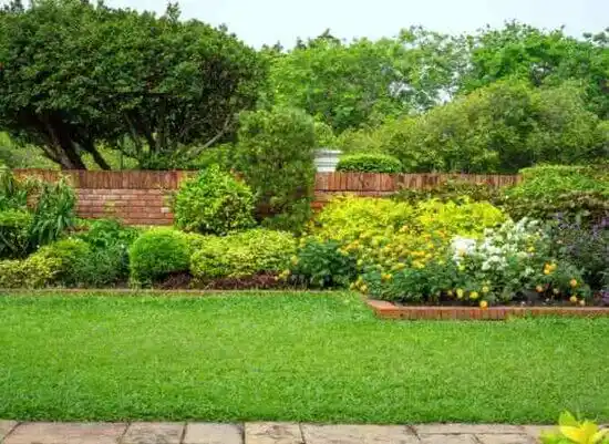 landscaping services Columbia Heights